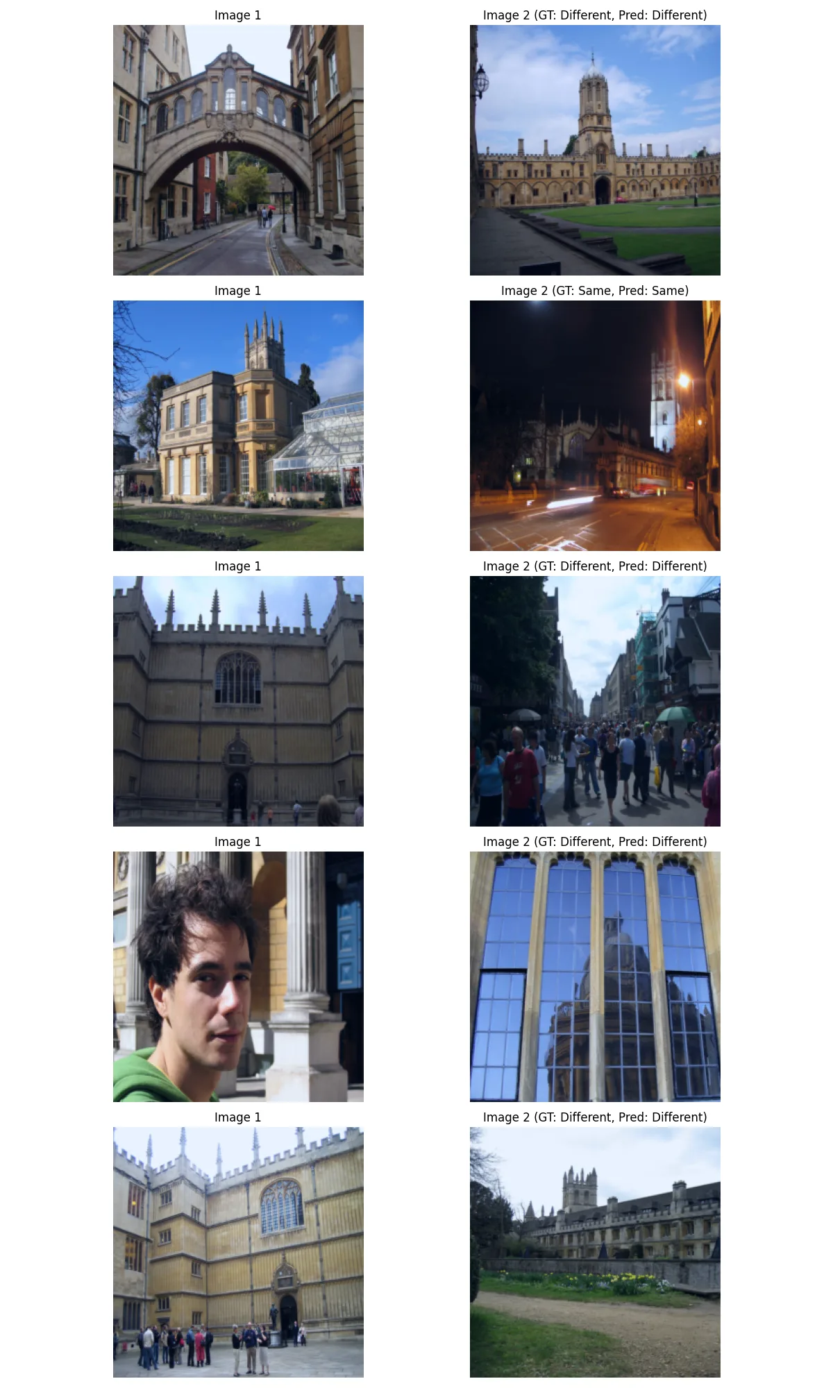 Siamese-network landmark-pair predictions with images, labels, and predicted probabilities