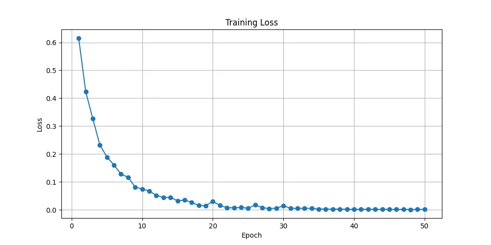 Siamese network training loss across 50 epochs